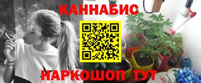 индика Краснознаменск