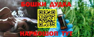 индика Краснознаменск