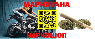 индика Краснознаменск