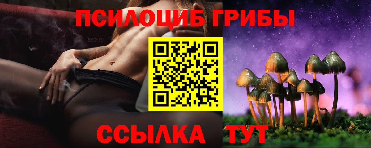 Псилоцибиновые грибы Psilocybine cubensis  Вход с VPN  Галлюциногенные грибы ЛСД  Коломна 